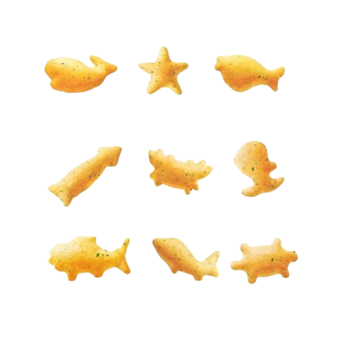 OSULLOC Matcha Biscotti Chip 100 גרם מבית Korea_KT