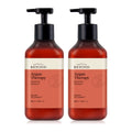 Beyond Argan Therapy Repairing Shampoo 500ml bottle – 2 pack