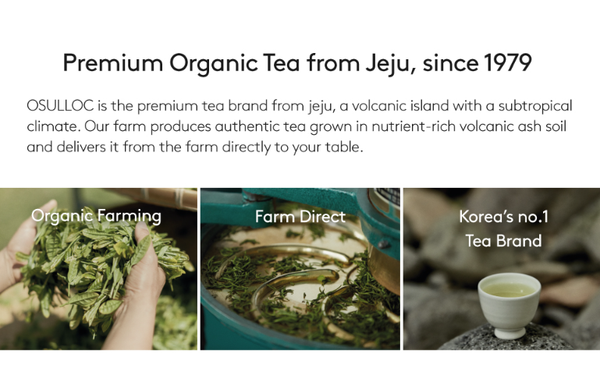 3 x OSULLOC Green Tea Biscuits(Green Tea Langue de Chat), 1 Box 10ea, from Korea by OSULLOC