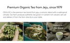 3 x OSULLOC Green Tea Wafers Cube(Cookies), 1 Pack 100g from Korea by OSULLOC