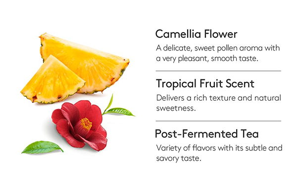 3 x OSULLOC Jeju Camellia Tea, 1 Box 20ea, from Korea by OSULLOC