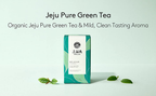 OSULLOC Jeju Pure Green Tea, 1 Box 20 Tea bags, from Korea by OSULLOC