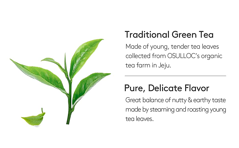 OSULLOC Jeju Pure Green Tea, 1 Box 20 Tea bags, from Korea by OSULLOC
