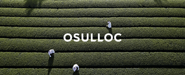 3 X OSULLOC Cold Green Tea, 1 Pouch 20ea, from Korea by OSULLOC