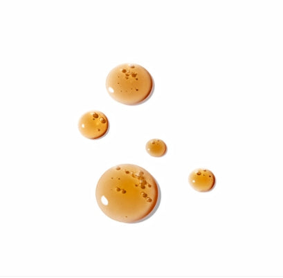 Sulwhasoo First Care Activating Serum 6 Generation 120ml from Korea by Sulwhasoo