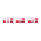 LUNA Melting Formula Lip Palette 02 Pink Mauve 10.2g – 3 pack