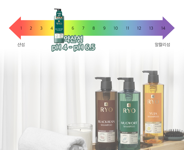Ryo New Mugwort Shampoo 800ml from Korea