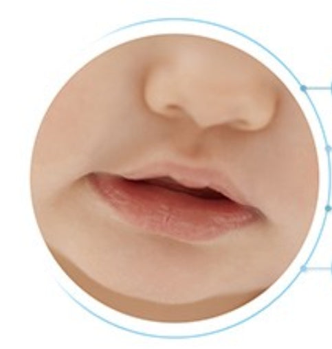 3 x ATOPALM Panthenol Lipcera 4g from Korea