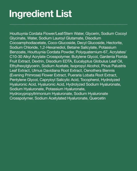 2 X Anua Heartleaf Quercetinol Pore Deep Cleansing Foam 150ml from Korea by Anua