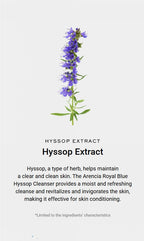 2 X Arencia Blue Hyssop Rice Mochi Cleanser 120g from Korea by Arencia