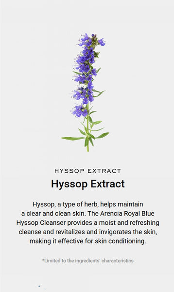 2 X Arencia Blue Hyssop Rice Mochi Cleanser 120g from Korea by Arencia