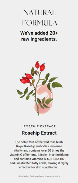 2 X Arencia Rosehip Rice Mochi Cleanser 120g from Korea by Arencia