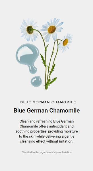 2 X Arencia Rosehip Rice Mochi Cleanser 120g from Korea by Arencia