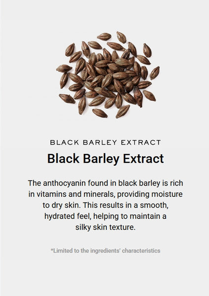 Arencia Fresh Green Rice Mochi Cleanser 120g + Rosehip Rice Mochi Cleanser 120g + Blue Hyssop Rice Mochi Cleanser 120g from Korea by Arencia