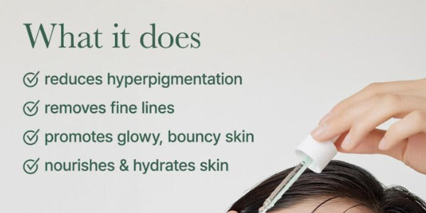 Arencia Rosehip Rice Mochi Cleanser 120g + Holy Hyssop Serum 12 30ml from Korea by Arencia