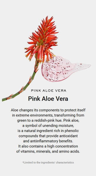 Arencia Fresh Green Rice Mochi Cleanser 120g + Rosehip Rice Mochi Cleanser 120g + Blue Hyssop Rice Mochi Cleanser 120g from Korea by Arencia