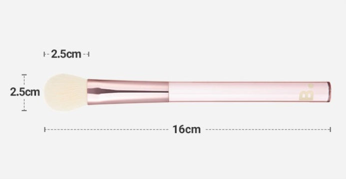 BANILA CO Blusher Brush from Korea