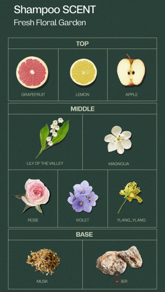 ma:nyo BIOXYL Anti-Hair Loss Shampoo 480ml from Korea by ma:nyo