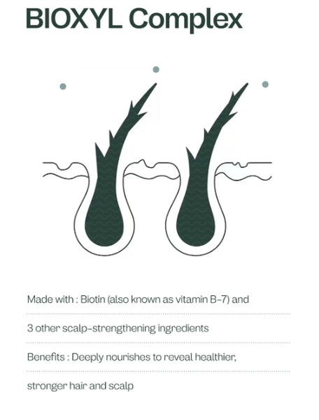 ma:nyo BIOXYL Anti-Hair Loss Shampoo 480ml + BIOXYL Anti-Hair Loss Treatment 200ml from Korea (Copy) by ma:nyo