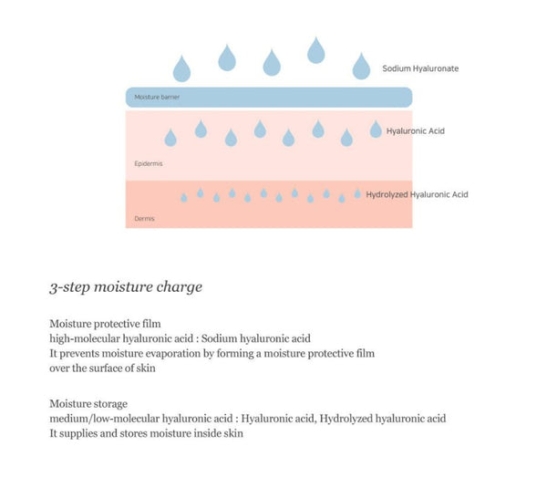 Beauty of Joseon Ginseng Essence Water 150ml + Revive Eye Serum: Ginseng+Retinal 30ml + Dynasty Cream 50ml from Korea by Beauty of Joseon