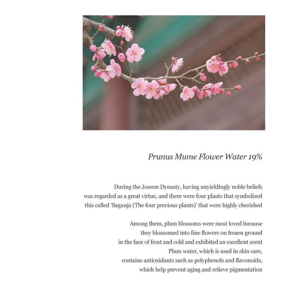 Beauty of Joseon Apricot Blossom Peeling Gel 100mL from Korea by Beauty of Joseon