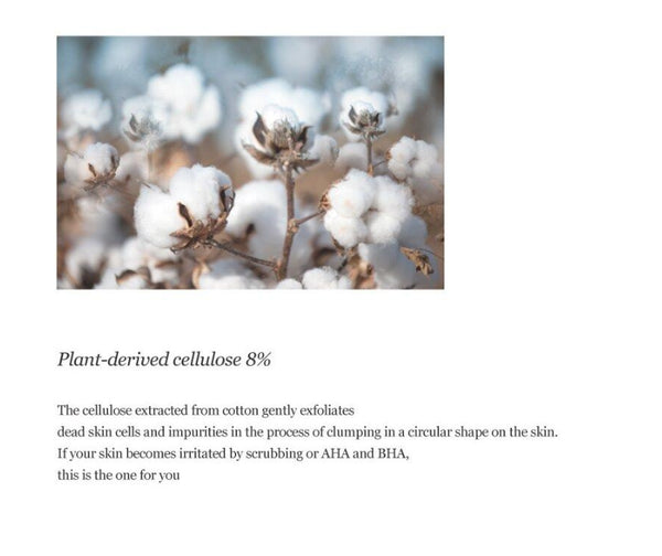 Beauty of Joseon Apricot Blossom Peeling Gel 100mL from Korea by Beauty of Joseon