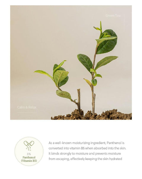Beauty of Joseon Calming Serum Green Tea + Panthenol 30mL from Korea by Beauty of Joseon