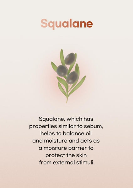 Beauty of Joseon Dynasty Cream 100mL from Korea by Beauty of Joseon