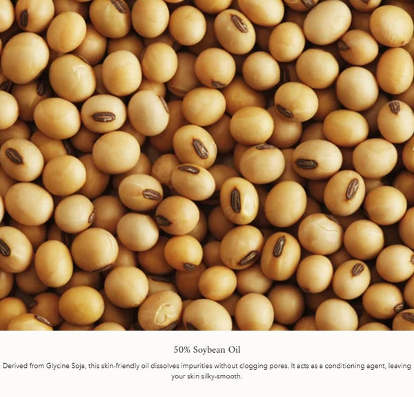 2 X Beauty of Joseon Ginseng Cleansing Oil 210m from Korea by Beauty of Joseon