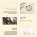 Beauty of Joseon Glow Deep Serum: Rice + Alpha-Arbutin 30mL from Korea by Beauty of Joseon