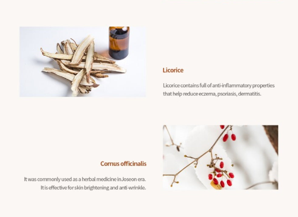 Beauty of Joseon Revive Serum: Ginseng + Snail Mucin 30mL from Korea by Beauty of Joseon