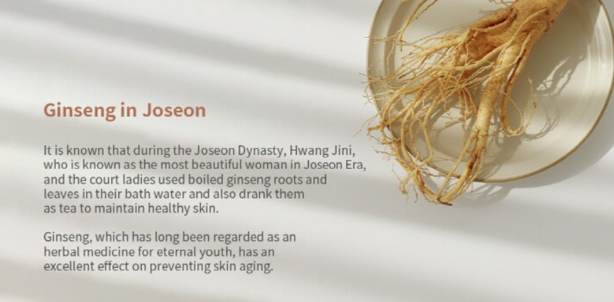 Beauty of Joseon Revive Serum: Ginseng + Snail Mucin 30mL from Korea by Beauty of Joseon