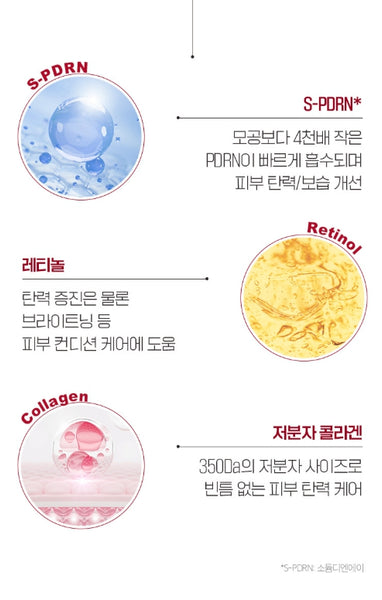 CNP Laboratory Derma+ Answer Pore Firming Ampule NMN-PDRN 30ml from Korea by CNP Laboratory