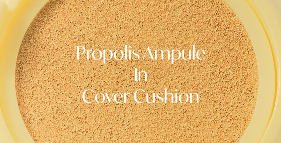 CNP Laboratory New Propolis Ampule In Cover Cushion Set (Main + Refill) #21 Light Beige SPF50+ PA+++ from Korea by CNP Laboratory