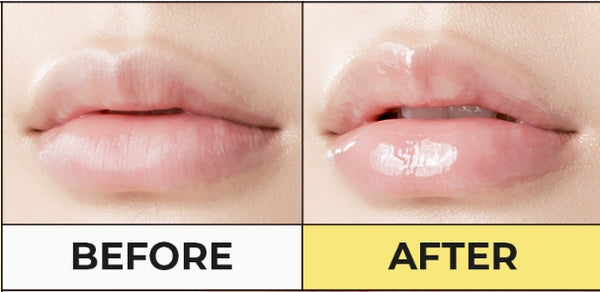 CNP Laboratory Propolis Lipcerin Miniature Set 4.5ml x 4ea from Korea by CNP Laboratory