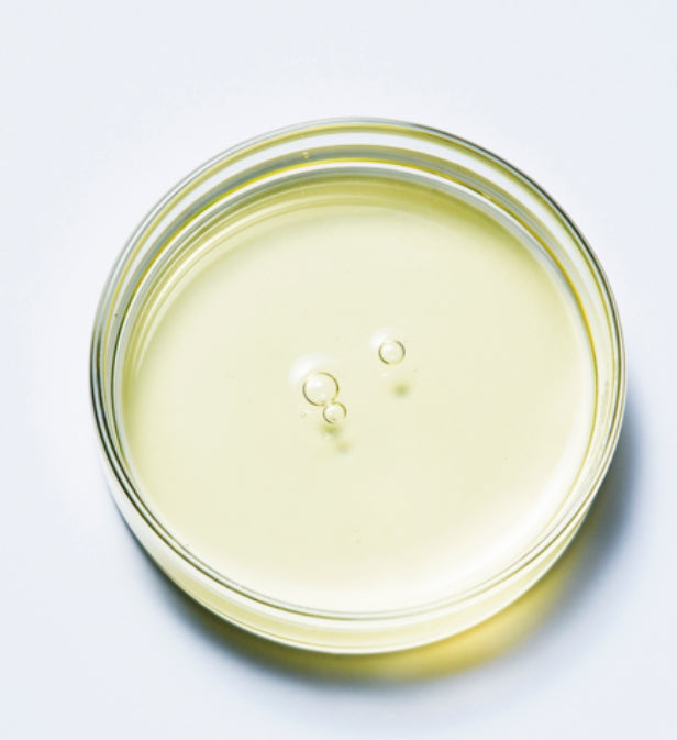 CNP Laboratory Propolis Rescue Ampule 50ml from Korea by CNP Laboratory
