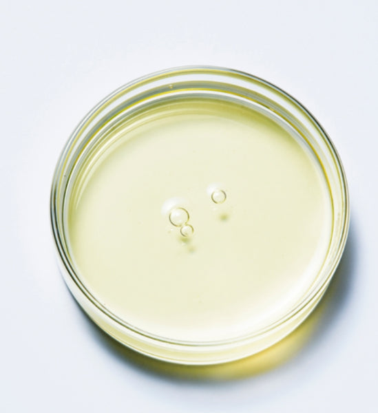 CNP Laboratory Propolis Rescue Ampule 50ml from Korea by CNP Laboratory