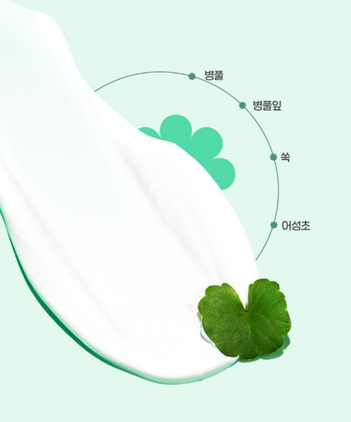 CNP Laboratory AFTER-RAY Cica Calming Sun 50ml SPF50+ PA+++ from Korea by CNP Laboratory