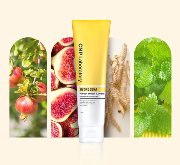 3 x CNP Laboratory Hydro Perfect Barrier Cleanser 120ml from Korea by CNP Laboratory