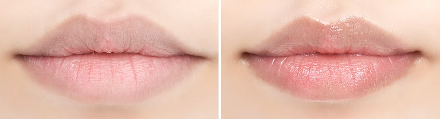 CNP Laboratory Propolis Derma Moisture Lip Balm 4g from Korea by CNP Laboratory