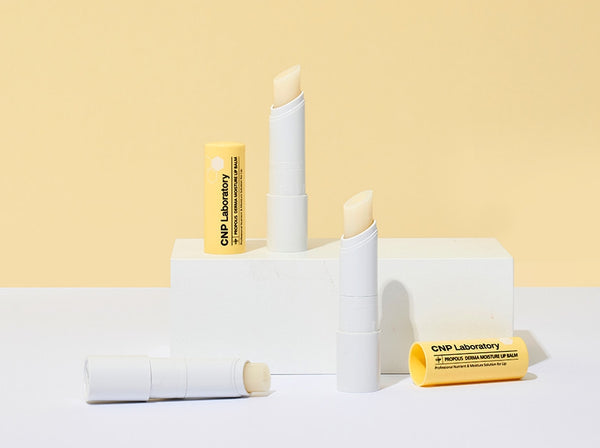 CNP Laboratory Propolis Derma Moisture Lip Balm 4g from Korea by CNP Laboratory