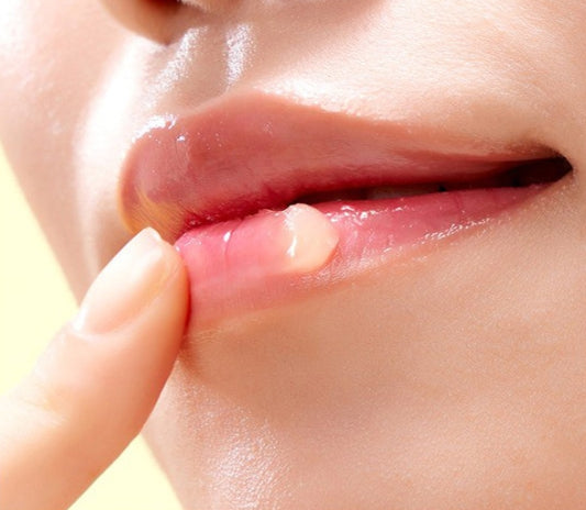 CNP Laboratory Propolis Lipcerin 15ml from Korea by CNP Laboratory