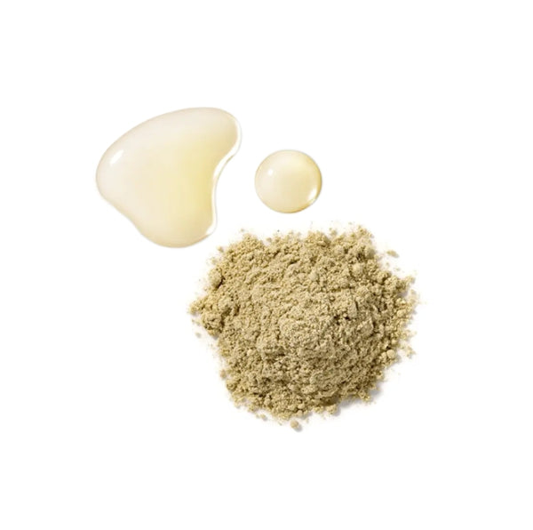 HOLITUAL Clean Therapy Powder Mask (8 pieces) from Korea by HOLITUAL