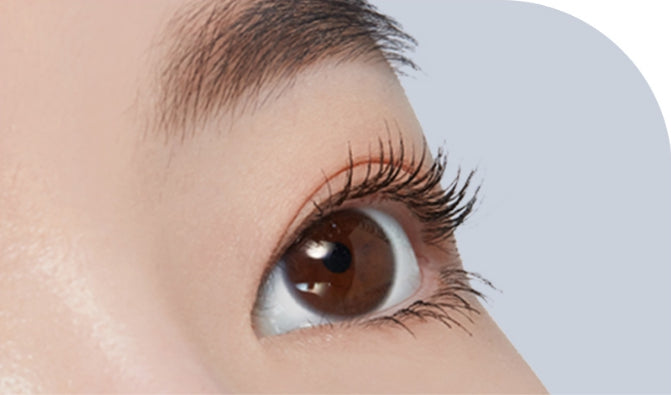 2 X ETUDE Doctor Mascara Fixer 6g , from Korea by ETUDE
