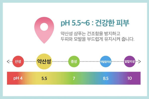 2 X Dr. Groot Density Intensive Solution Hair Loss Control Shampoo 400m Basil & Neroli from Korea by Dr.Groot