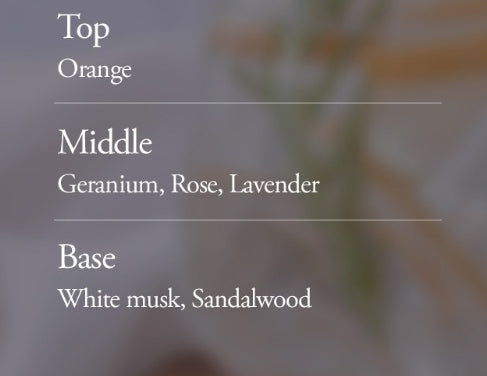 2 x Dr. Groot Microbiome BioExosome Shampoo 3300ml from Korea