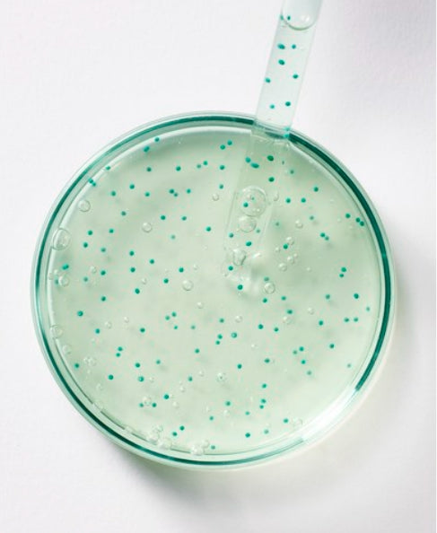 2 x Dr. Groot Microbiome BioExosome Shampoo 3300ml from Korea