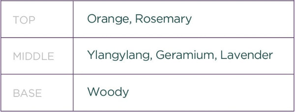 Dr. Groot Microbiome Genethick7 Hair Loss Care Capsule Shampoo 400ml from Korea