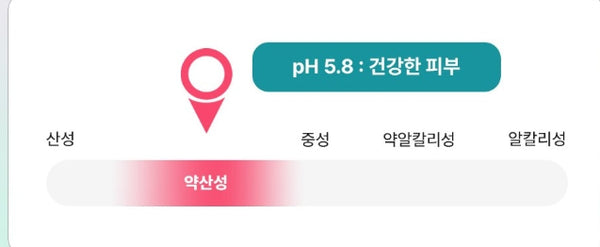 Dr. Groot Professional Hair Care Scalp Solution Scalp Odor Removal Shampoo 700ml from Korea