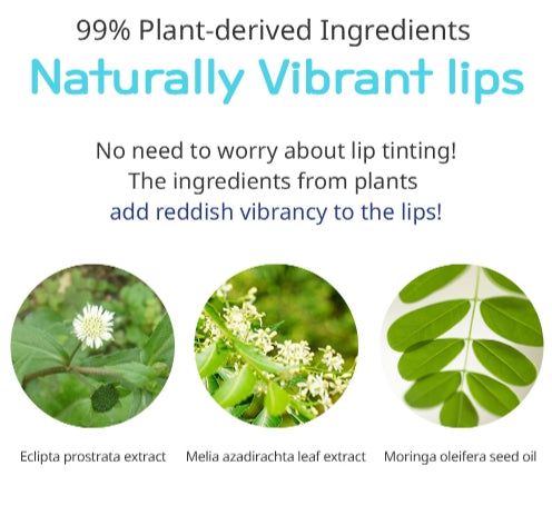 GOONGBE Kids Color Lip Balm 3.3g from Korea by GOONGBE